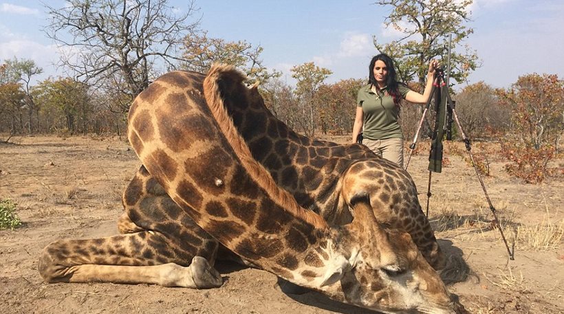 Λογίστρια ποζάρει στο Facebook με τα άγρια ζώα που έχει σκοτώσει [εικόνες]